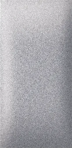 Taster EXP 1M srebrni